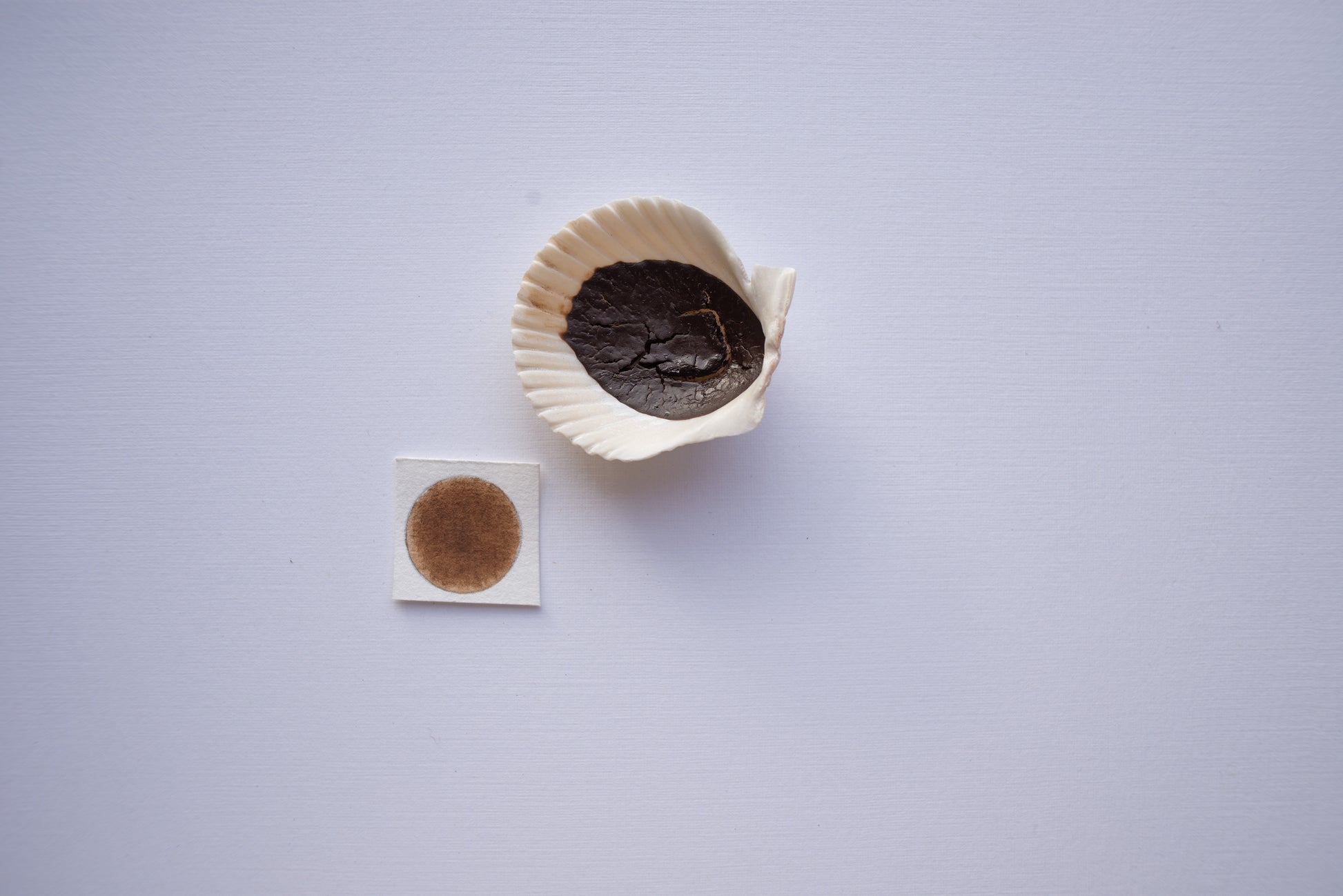 Natural Watercolors Shell Pan - Brown