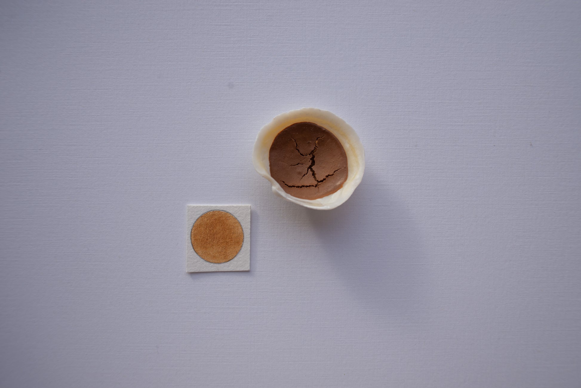 Natural Watercolors Shell Pan - Yellow