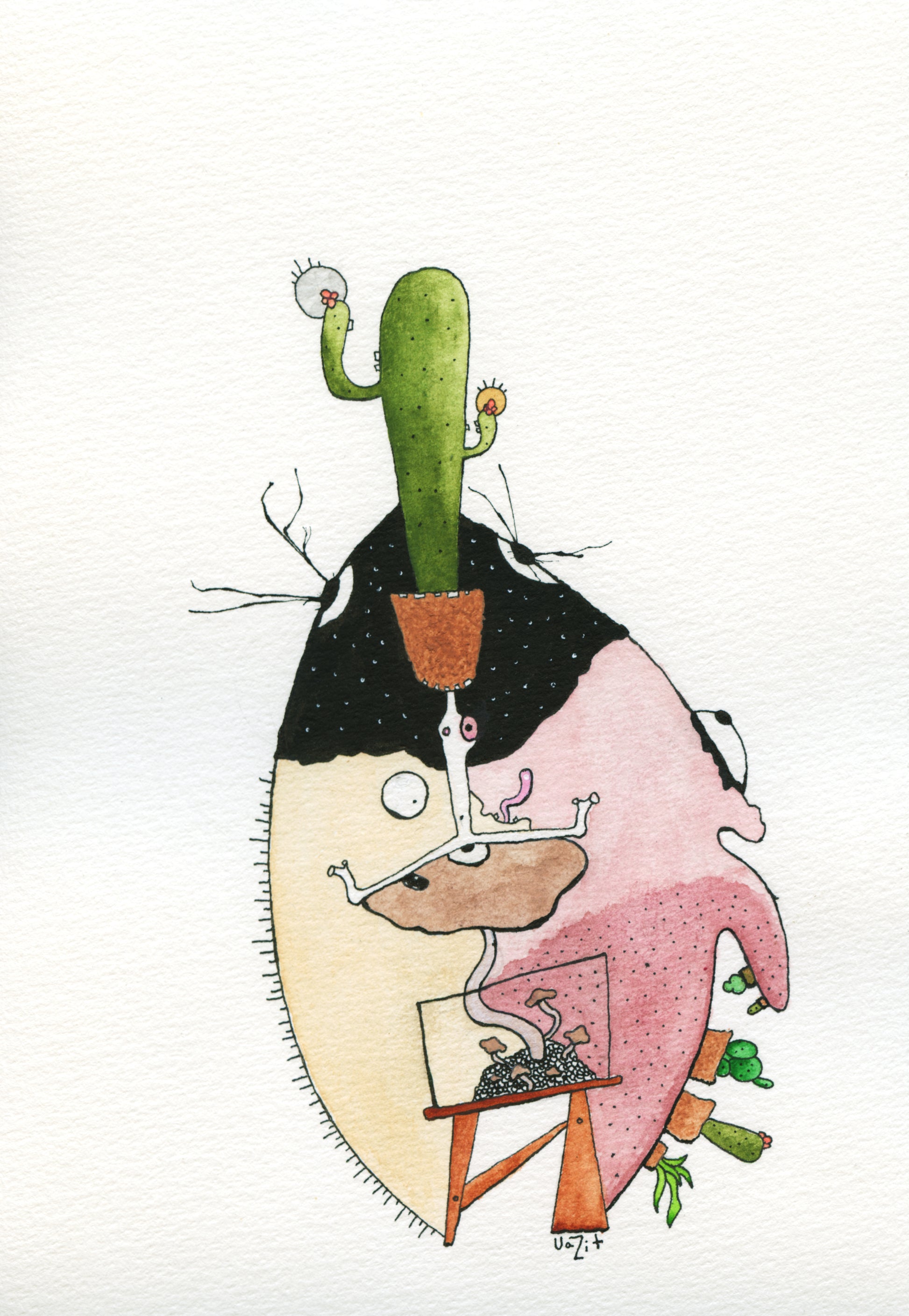 Cactus & Shrooms